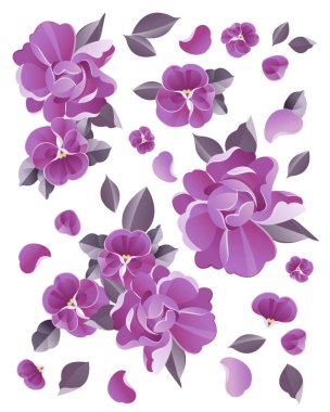 menekşe çiçek vektör suluboya resim