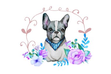Köpek suluboya resim. Malzeme ve grafik tasarım için dekor öğeleri. Hediye kartı ve çocuk ürünleri için iyi. Clipart, izole ayrıntıları.