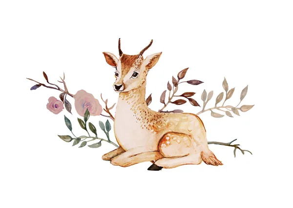 Cervos Verão Bonito Flores Cores Impressionantes Bom Para Cartão Presente — Fotografia de Stock