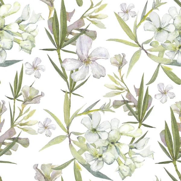 Akvarell Tropiska Mönster Vit Oleander Blommor Gröna Blad Blommiga Inslag — Stockfoto