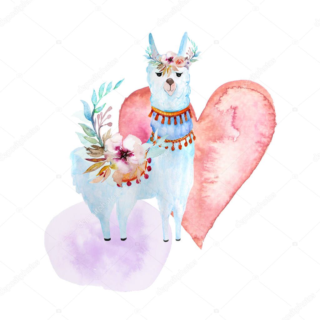 White Llama or alpaca, heart. Hand-drawn watercolor illustration. Cute mammal animal painting isolated on white background. 