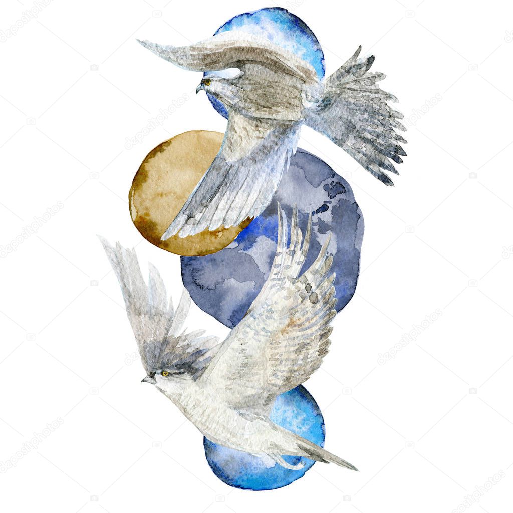 Set of two different hawk birds. Hand painted watercolor  illustration, isolated, white background.