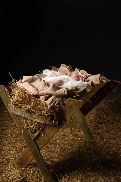 Gesù Bambino nella mangiatoia — Foto Stock