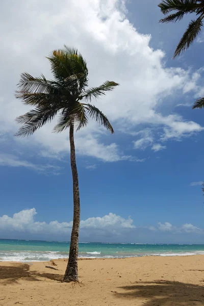 Vista tropical del océano con palmeras en primer plano — Foto de Stock