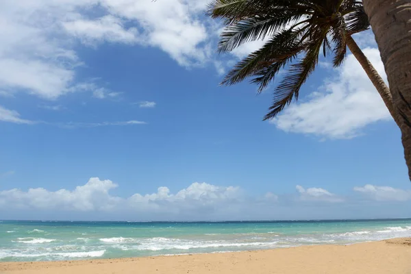 Vista tropical del océano con palmeras en primer plano — Foto de Stock