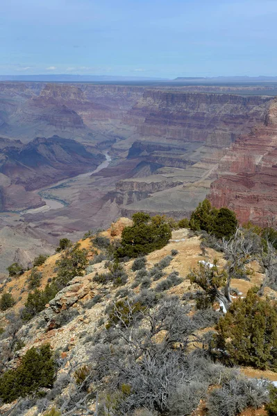 Grand canyon — Photo