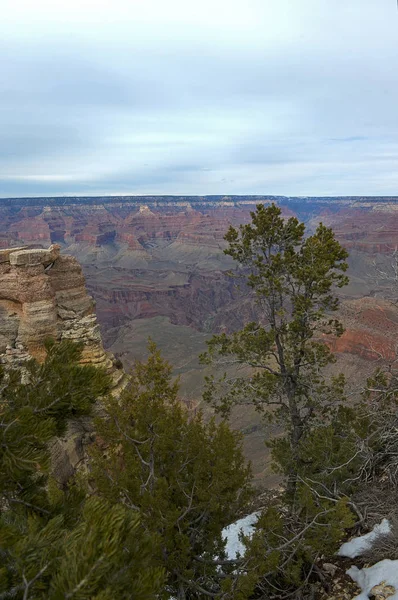 Tampilan vertikal Grand Canyon — Stok Foto