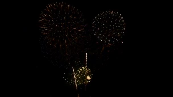 Fireworks Multiples Colors Bursting Air Dark Background — Stock Video