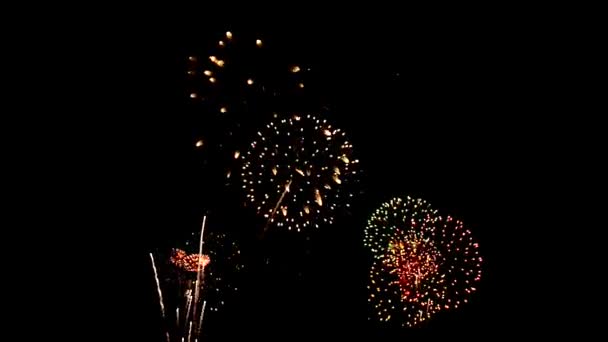 Feuerwerk Aus Vielfachen Farben Das Vor Dunklem Hintergrund Der Luft — Stockvideo