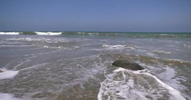 前景と波に岩を持つペルー北部のマルコナビーチ — ストック動画