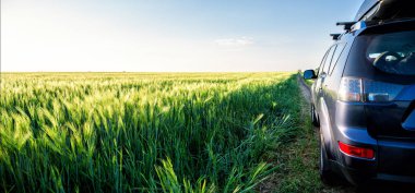 Araba ve ışık yolda..