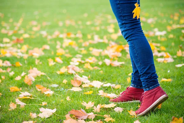 Sonbahar yaprakları yürüyüş ayak ayakkabı