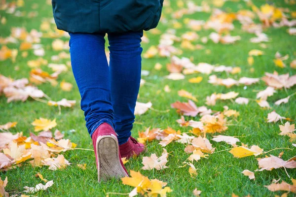 Feet sneakers walking on fall leaves — Stock Photo, Image