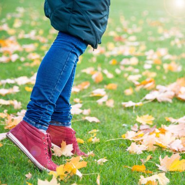 Sonbahar yaprakları yürüyüş ayak ayakkabı