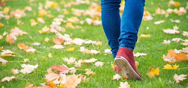 Feet sneakers walking on fall leaves — Stock Photo, Image