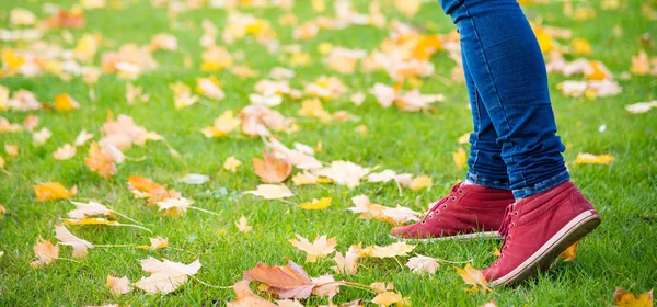 Zapatillas de deporte de pies caminando sobre hojas de otoño — Foto de Stock