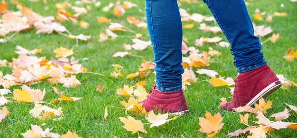 Voeten sneakers lopen op herfst bladeren — Stockfoto