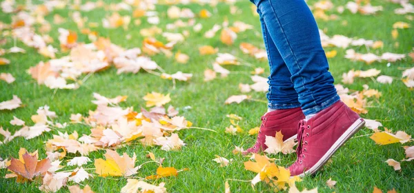 Füße Turnschuhe, die auf Herbstblättern laufen — Stockfoto