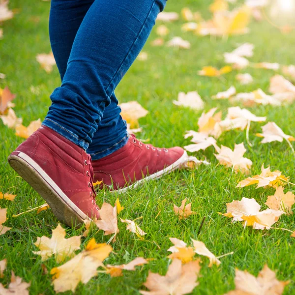 Feet sneakers walking on fall leaves — Stock Photo, Image