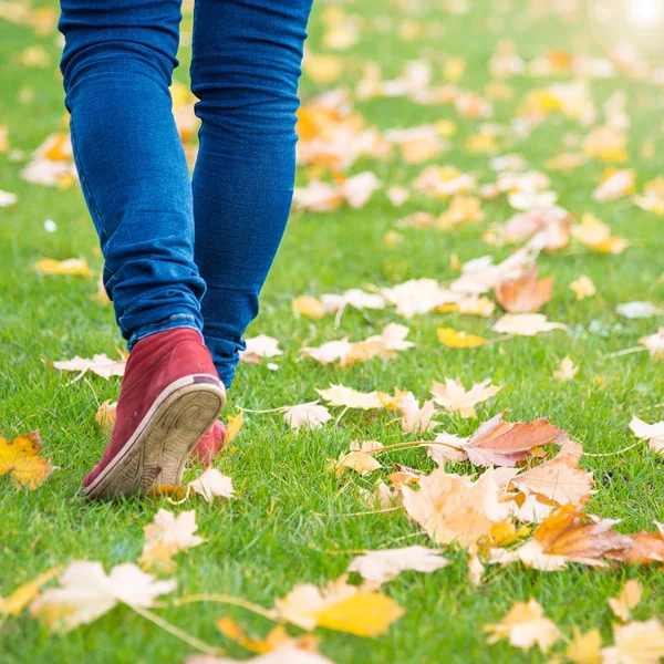 Zapatillas de deporte de pies caminando sobre hojas de otoño —  Fotos de Stock