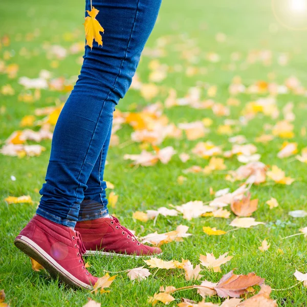 Feet sneakers walking on fall leaves — Stock Photo, Image