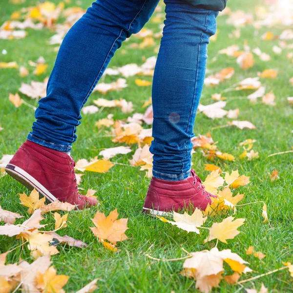 Feet sneakers walking on fall leaves — Stock Photo, Image