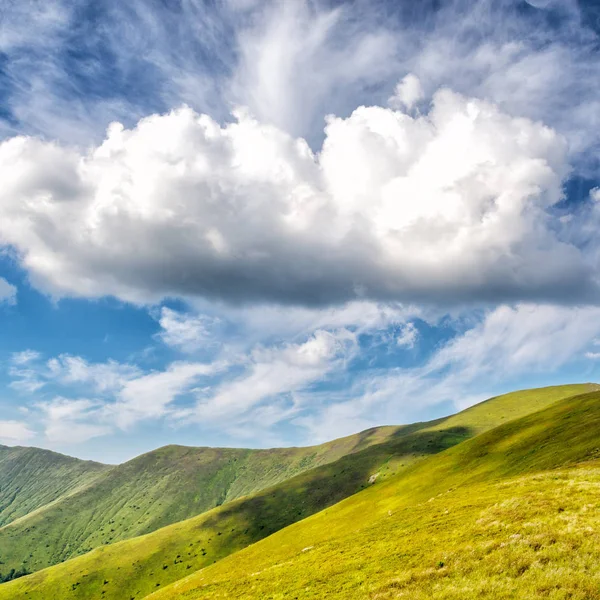 Increíbles montañas de Cárpatos — Foto de Stock