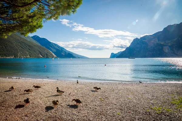 Der Gardasee ist der größte See Italiens — Stockfoto