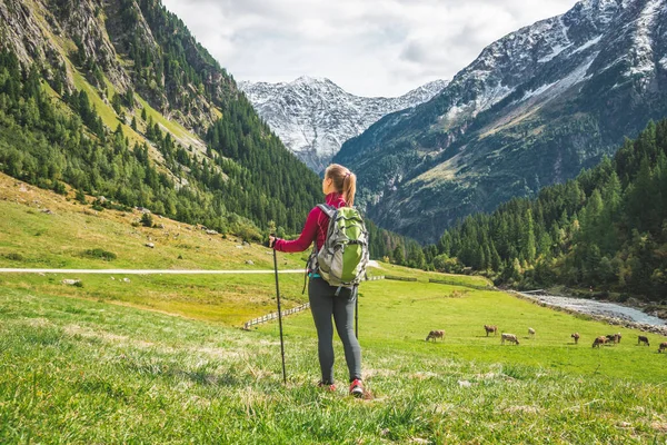 Young woman hiking in the mountains — Stock Photo, Image