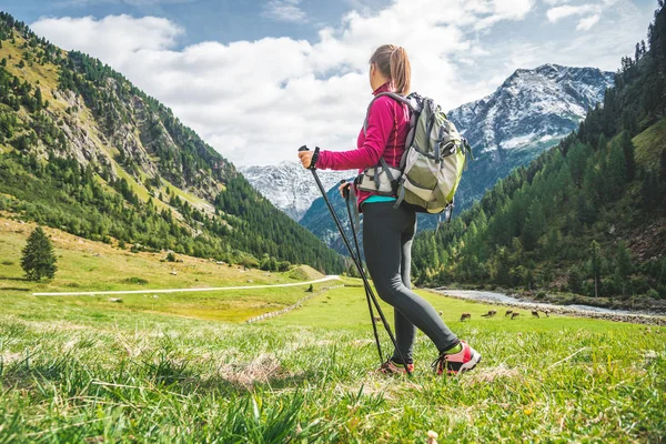 Ung kvinna vandring i bergen Royaltyfria Stockbilder