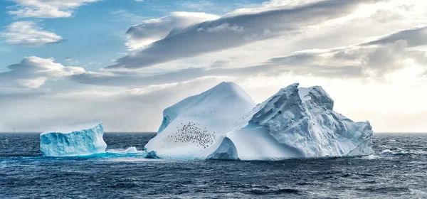 Παγόβουνο στην Ανταρκτική θάλασσα — Φωτογραφία Αρχείου