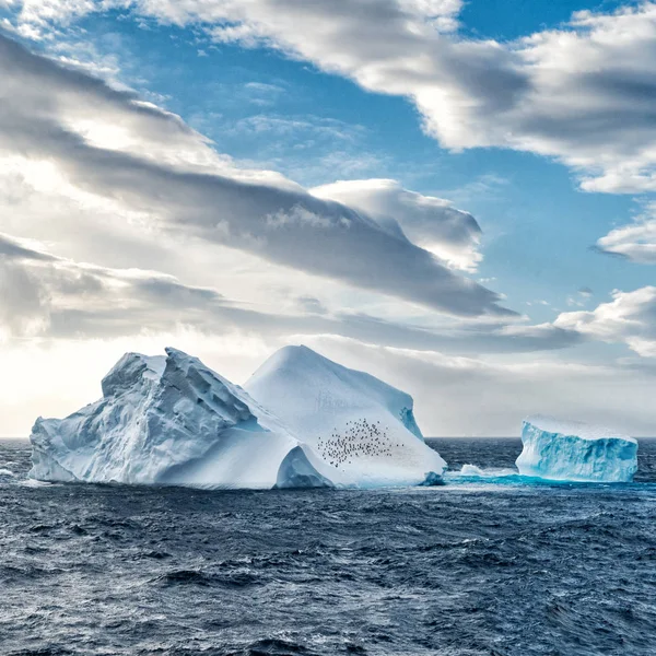 Iceberg nel mare dell'Antartide — Foto Stock