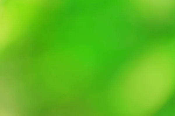 Arka plan bulanık yeşil yaprak