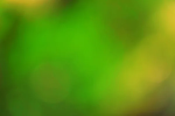 Dark green background  of blurred green leaves  with dark and light green and yellow spots