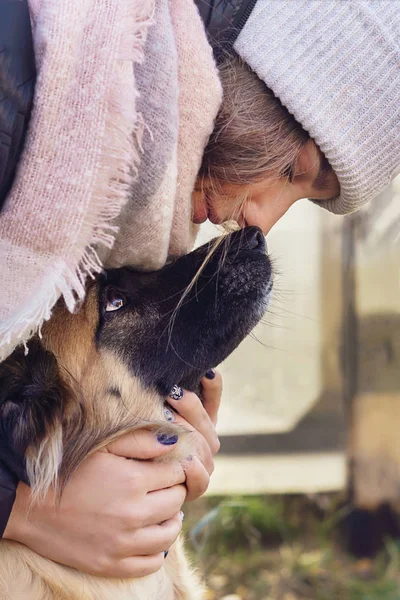 Kız köpek hugs, köpek burnu kızın burnuna dokunuyor
