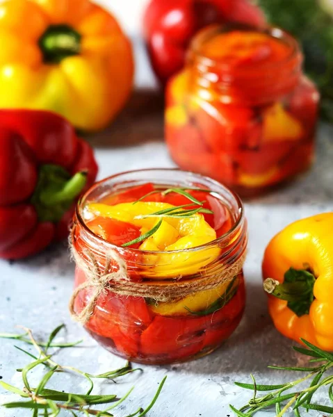 Pimentos Sino Conserva Fermentados Sobre Fundo Cinzento — Fotografia de Stock