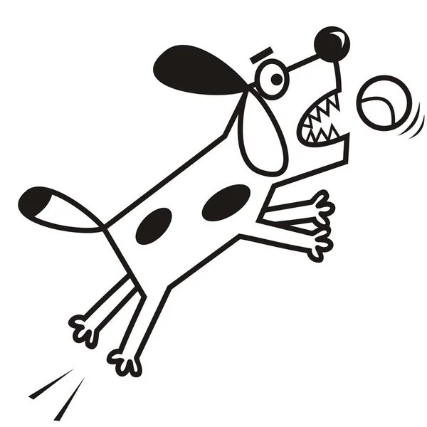 Cão Bola Ícone Vetor Engraçado Ilustração Preto Branco — Vetor de Stock