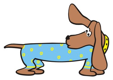 Dachshund Tulum içinde. Mizahi vektör görüntü.