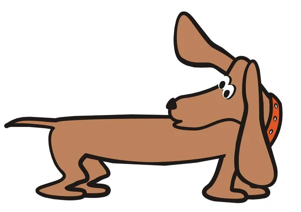 Komik Köpek Dachshund Vektör Çizim — Stok Vektör