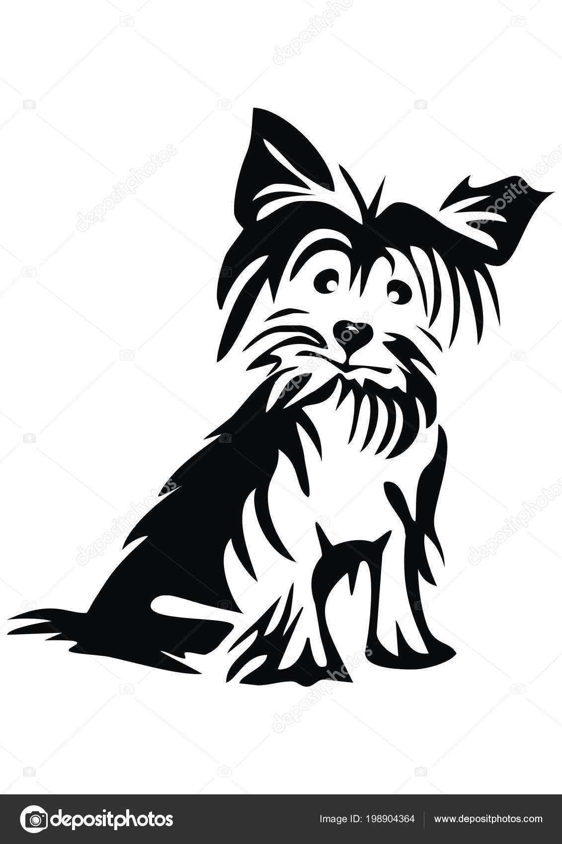 Yorkshire Terrier Black Silhouette Vector Icon Stock Vector Image by