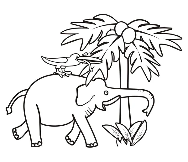 Elephant Bird Palm Tree Coloring Book Vector Illustration — Stok Vektör