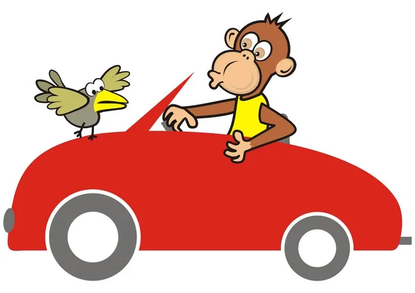 Rotes Auto Und Tier Affe Und Vogel Lustiges Vektorsymbol — Stockvektor