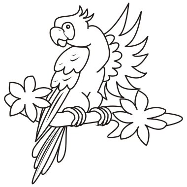 papağan, boyama kitabı, vektör çizim