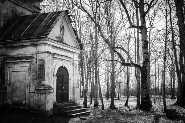 Gamla Övergivna Kyrkan Skogen Duboe Vitryssland Entonig Bild Royaltyfria Stockbilder