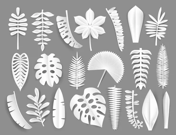 Trópusi fehér papír vágott leveleket. Trendi nyári egzotikus növények elemets árnyéka elszigetelt szürke háttér. Origamy stílus vektoros illusztráció. — Stock Vector