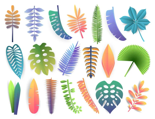 Tropiska löv collection. Trendiga sommar exotiska palmer, monstera, philodendron, kalatea, ormbunke, orchid, banan, kokos isolerad på vit bakgrund. Toningsformat vektorillustration. — Stock vektor