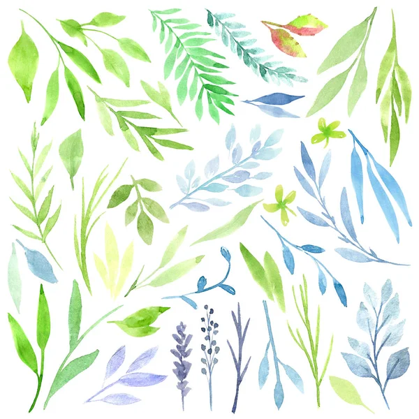 植物アート。緑の葉、ハーブ、枝のセットです。花のデザイン要素です。結婚式の招待状やグリーティング カード、ブログ、ポスターなどに最適です。水彩イラスト. — ストック写真