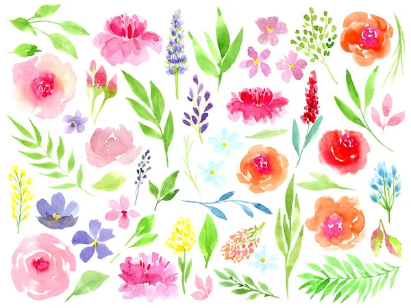 Colorful floral collection with leaves and flowers, drawing watercolor. Spring or summer design for invitation, wedding or greeting cards. — Stock Photo, Image
