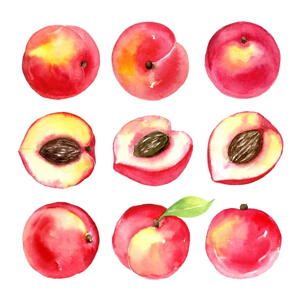 Succose pesche mature. Frutti affettati isolati su fondo bianco. Disegno di cibo sano di estate. Illustrazione acquerello disegnata a mano . — Foto Stock