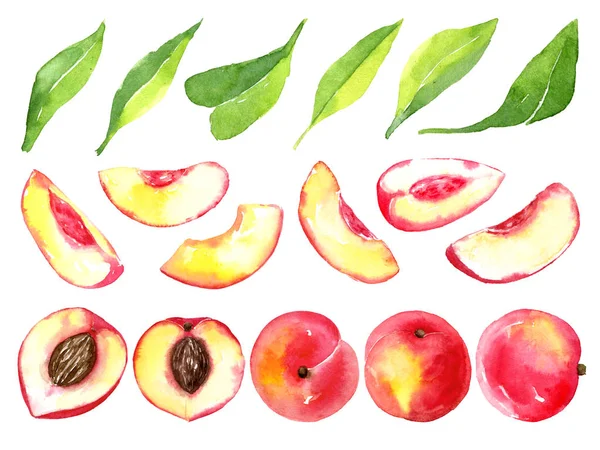 Ζουμερά ώριμα ροδάκινα. Φέτες φρούτα που απομονώνονται σε λευκό φόντο. Σχέδιο υγιεινή διατροφή το καλοκαίρι. Χέρι ακουαρέλα εικονογράφηση. — Φωτογραφία Αρχείου
